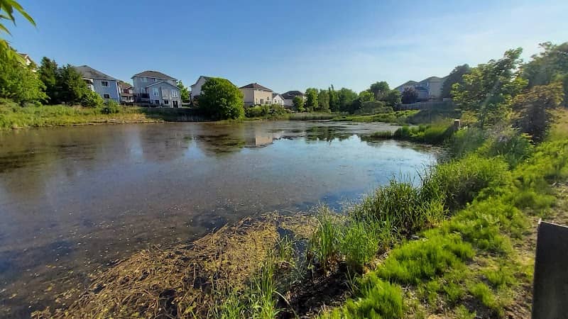 Westwoods Pond - Image 2