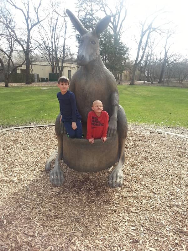 Giant Kangaroo Statue - Image 1