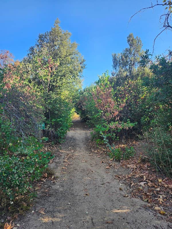 Caroline, Park - Image 1