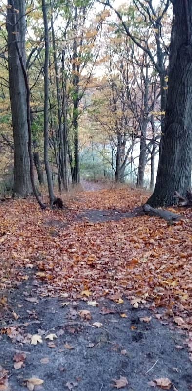 Pere Marquette Conservation Park - Image 2