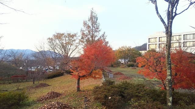 Inishienooka Park - Image 2