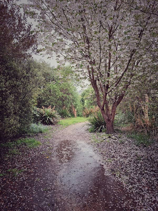 Marton Memorial Park Walkway - Image 2