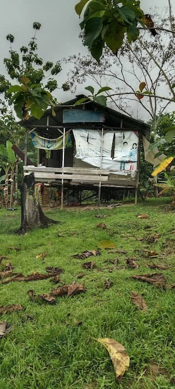 Pondok kebun 22 - Image 1