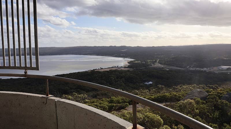 Mount Melville Lookout Tower - Image 2