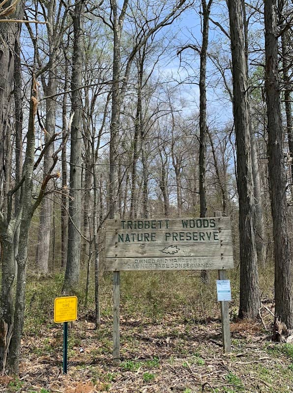 Tribbett's Woods Nature Preserve - Image 1