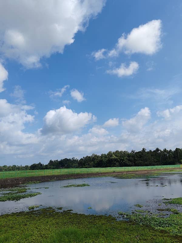 Aikkattu Kadavu ( ഐക്കാട്ടുകടവ് ) - Image 1