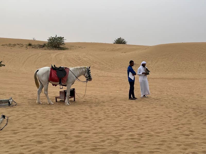 Sahara adventure - Image 1