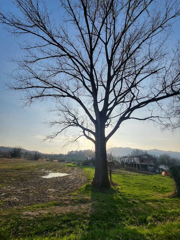 parco adda nord - Image 2