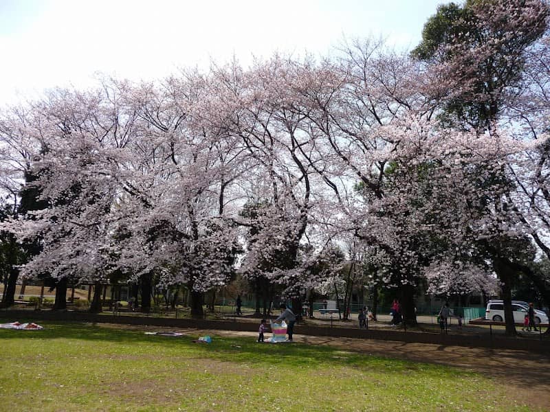 Sakadoshiinarikubo Park - Image 1