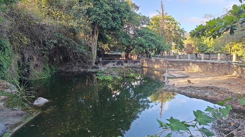 Kuze - Mombasa - Image 2