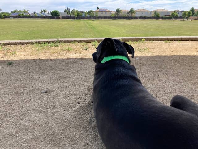soccer fields - Image 1
