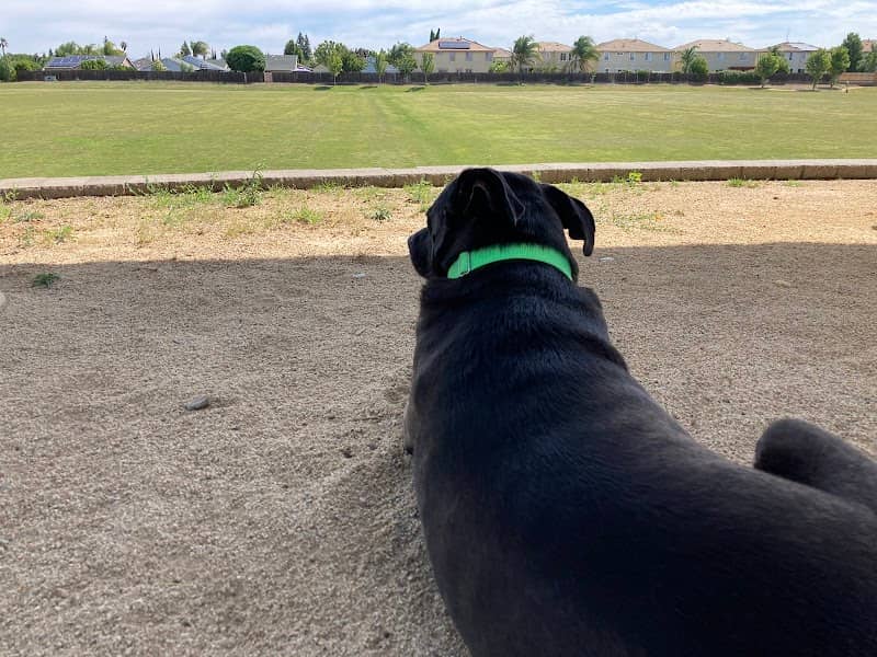 soccer fields - Image 1