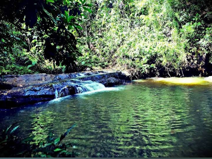 Allawala waterfall - Image 1