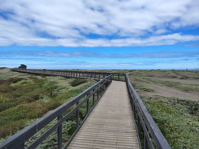 Humedal Río Maípo Park - Image 1