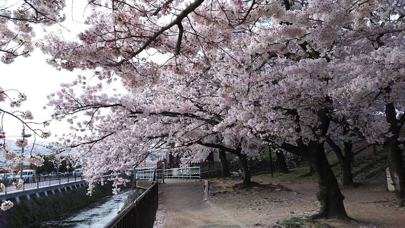 Hirotayama Park - Image 2
