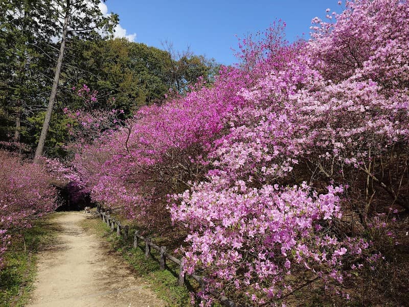 Hirotayama Park - Image 1