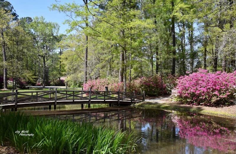 Shepard Park - Image 2