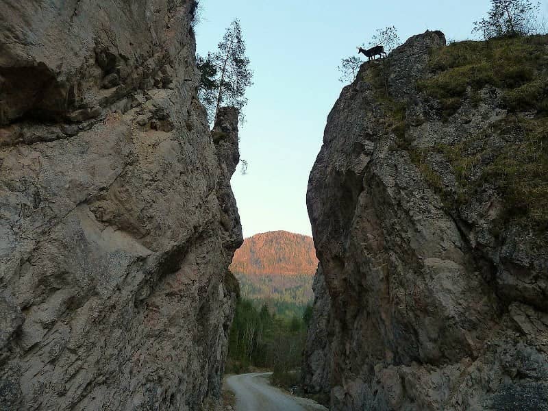 Stumpfmauer - Image 1