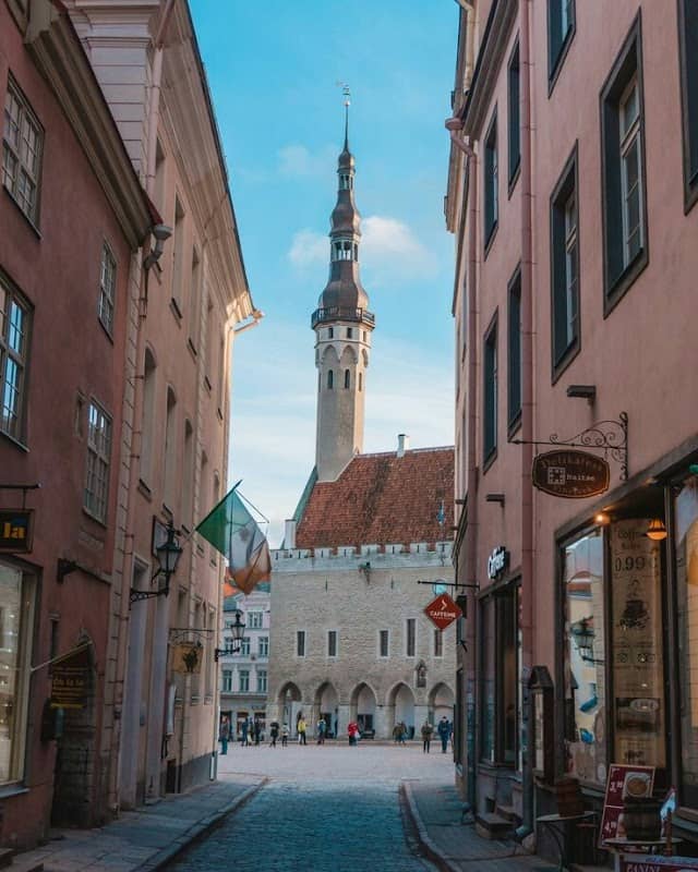 Tallinn Town Hall - Image 3