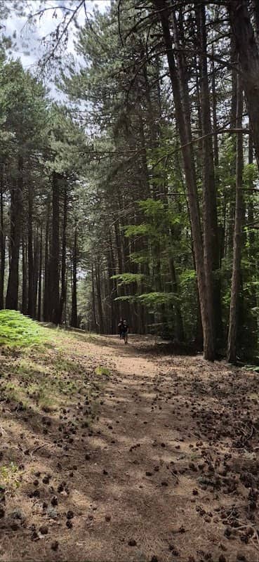 Orman Park - Image 1
