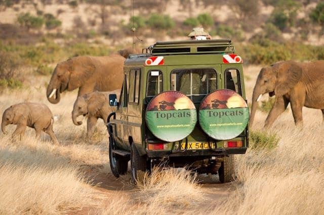 Topcats Safaris - Image 1