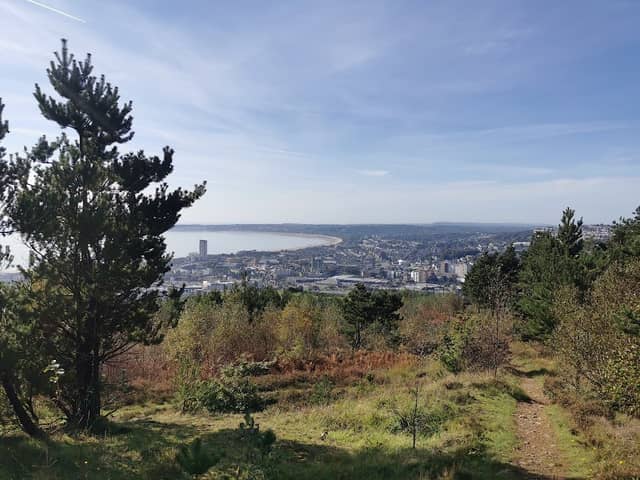 Top of the Hill - Image 2