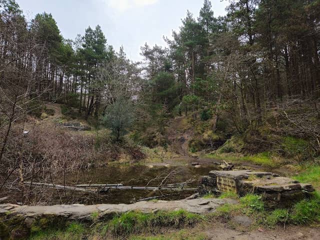 Top of the Hill - Image 3