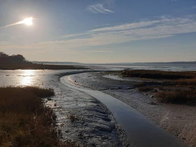 Wrabness Nature Reserve - Image 1