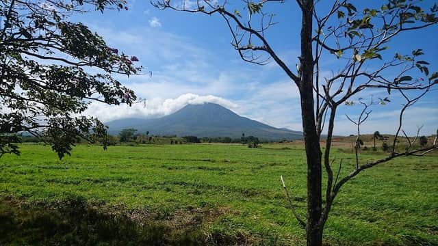 Parque Nacional Guanacaste - Image 3