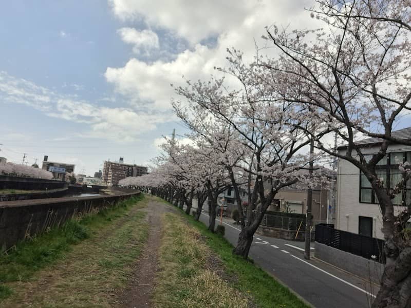 猫実川の堤 - Image 1