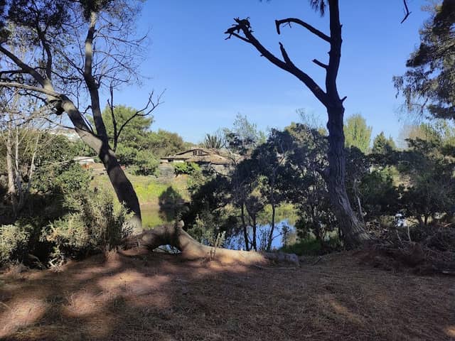 Parque Dyr - Image 1