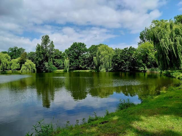 am Schöppenteich Park - Image 1