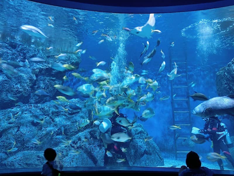 SEA LIFE Bangkok Ocean World - Image 2