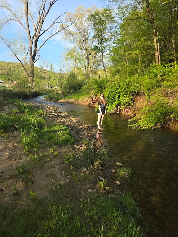 Creek Behind Park in Glenmont - Image 1