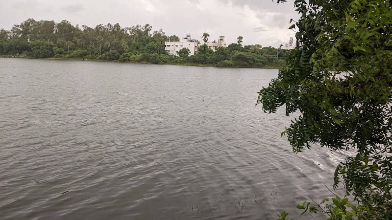 Perungudi lake - Image 1