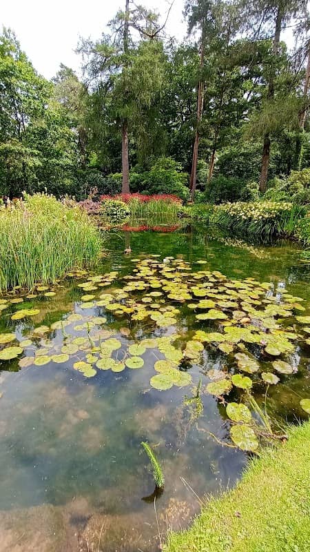Longstock Park Water Gardens (John Lewis Partnership) - Image 3
