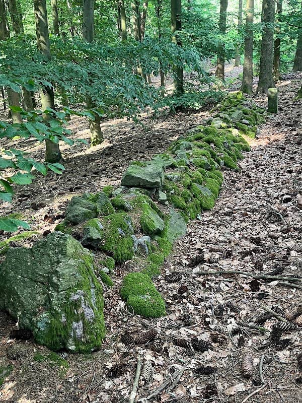 Steilabfall der Tromm - Image 1