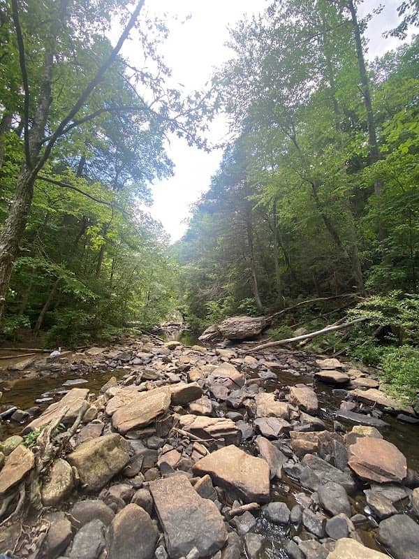 Rainbow Falls - Image 3