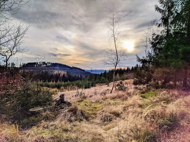 Finstertal - Image 1