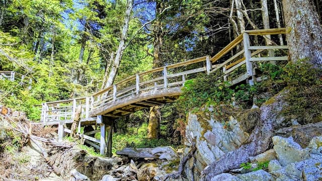 Tonquin Park - Image 2