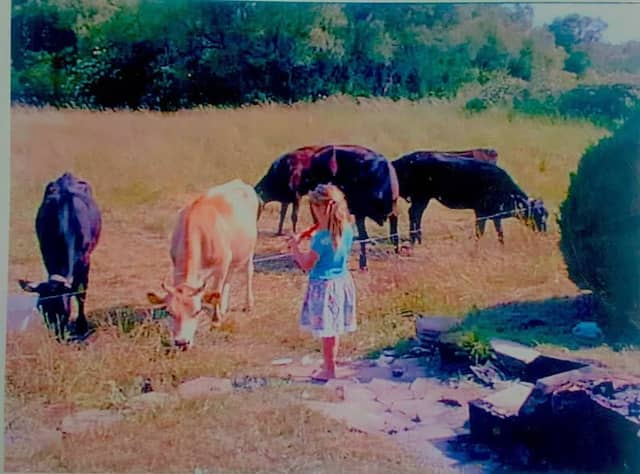 Dattersøen - Image 1