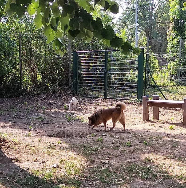 Area Cani Parco Freud - Image 2