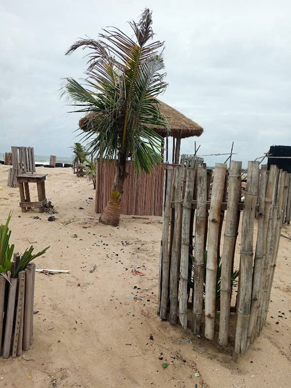 THE SEATURTLE SANCTUARY LAGOS - Image 1