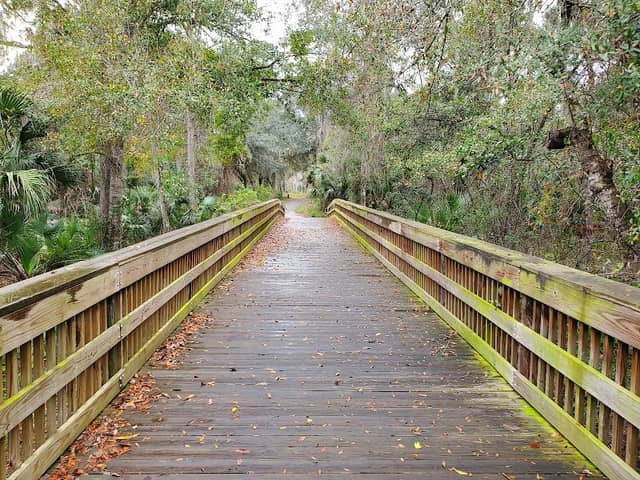 Joanne B King Park - Image 2