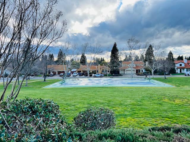 Beacon Hill Park - Image 1