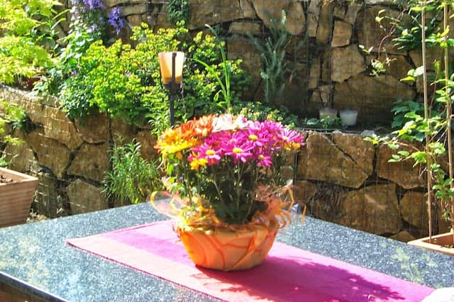 Frey-Gartenbau - Image 1