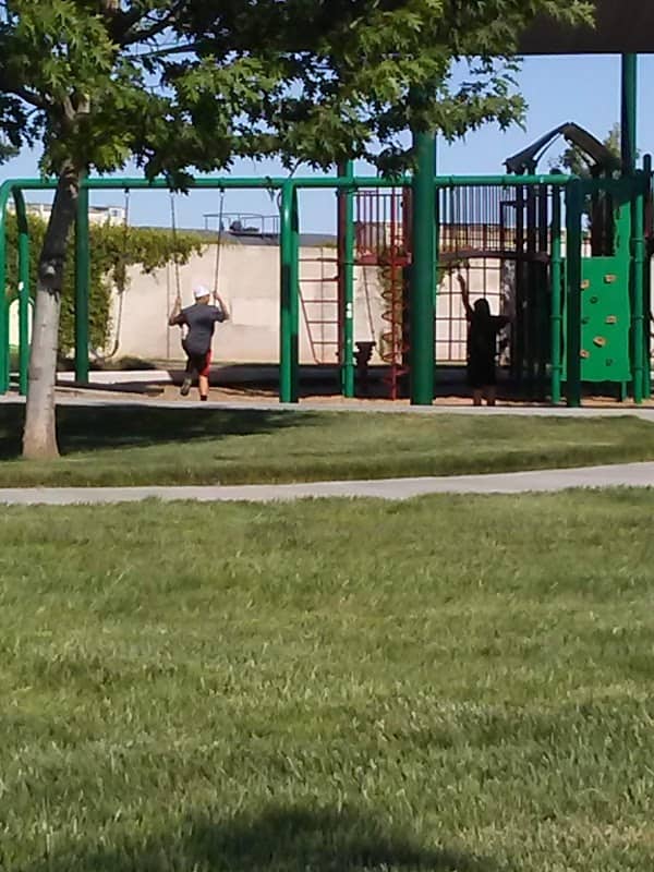 Harless Park - Image 2