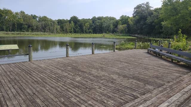 Schoolhouse Pond - Image 1