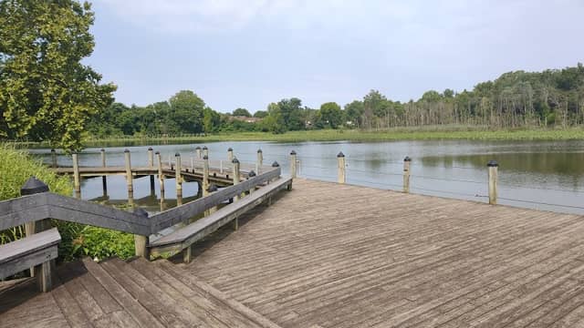 Schoolhouse Pond - Image 2