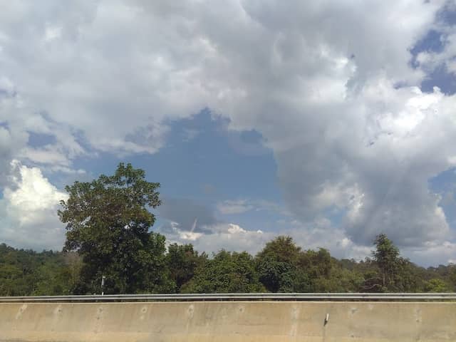 Sungai Yu Ecological Corridor - Image 1